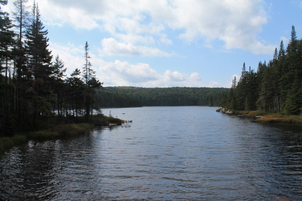 Photo: Falls Pond Photo: Falls Pond