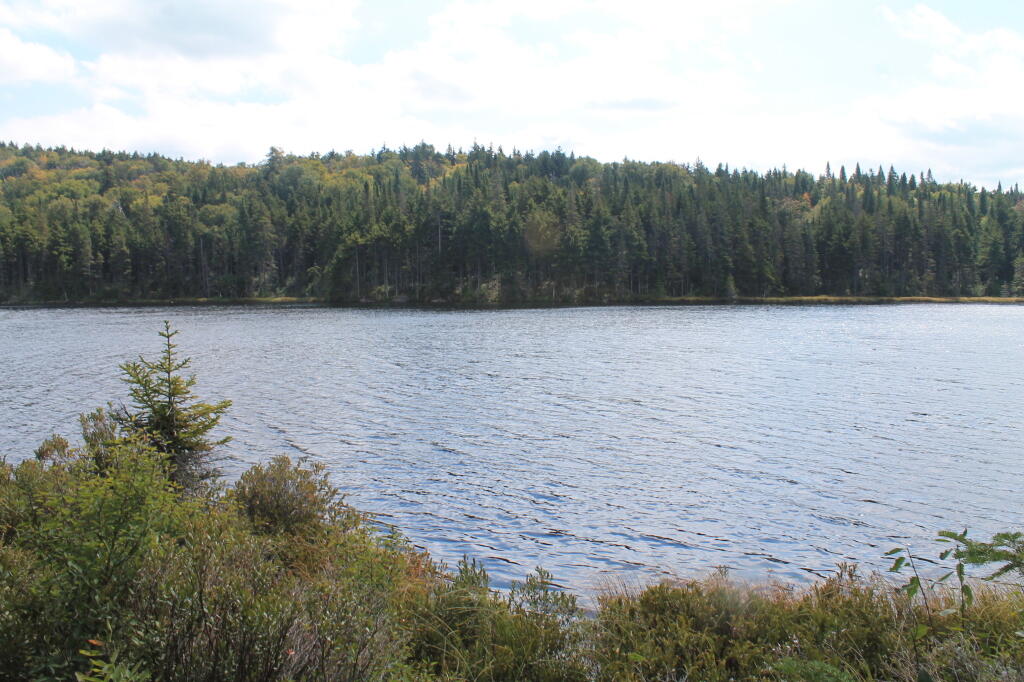 Photo: South Across Lake Photo: South Across Lake