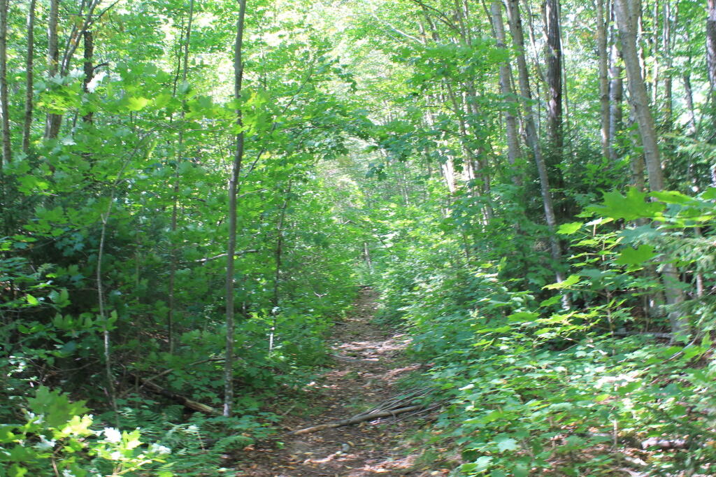 Photo: Brooktrout Trail Photo: Brooktrout Trail