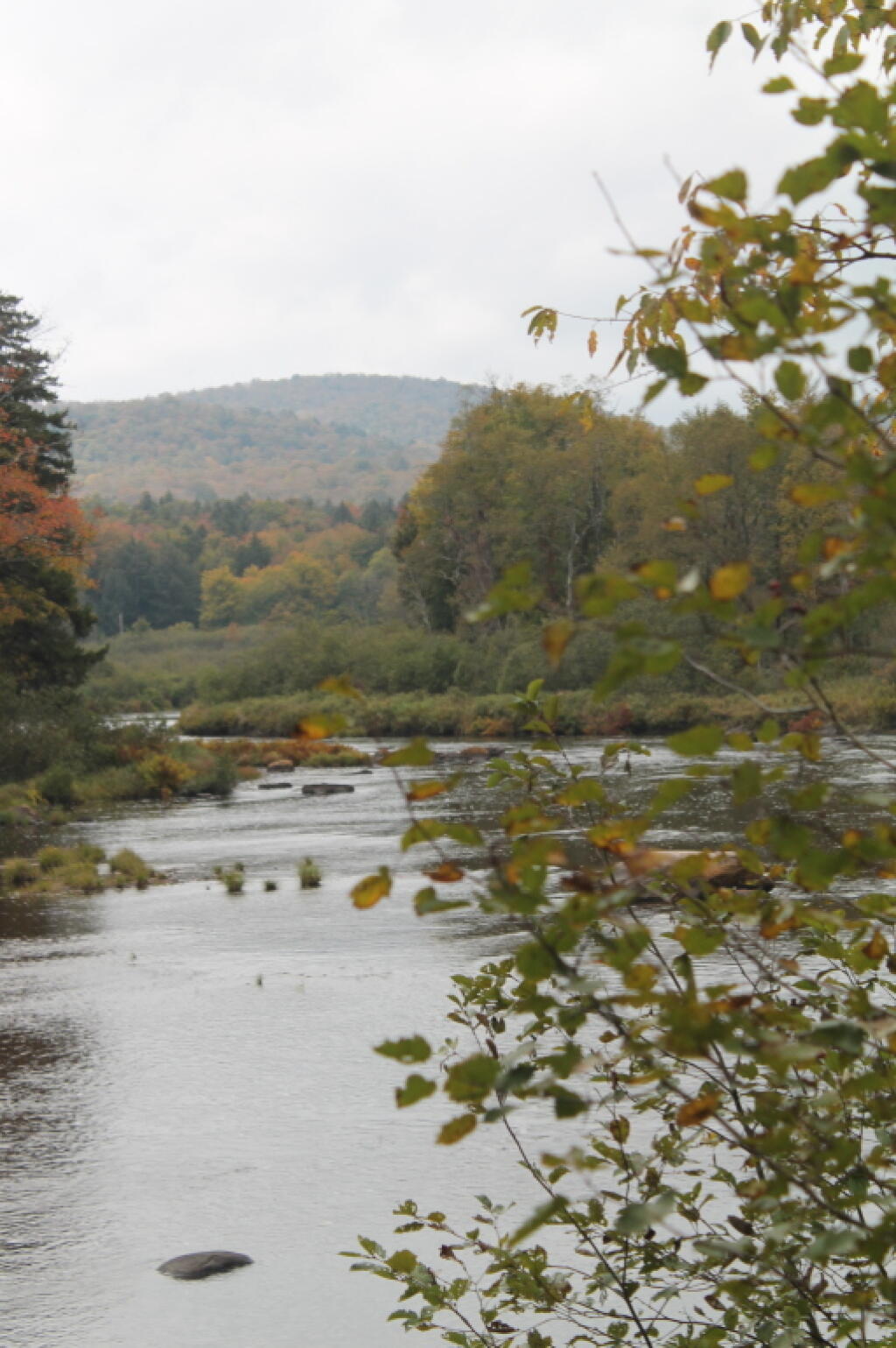 Photo: West Branch of Sacandaga River Photo: West Branch of Sacandaga River