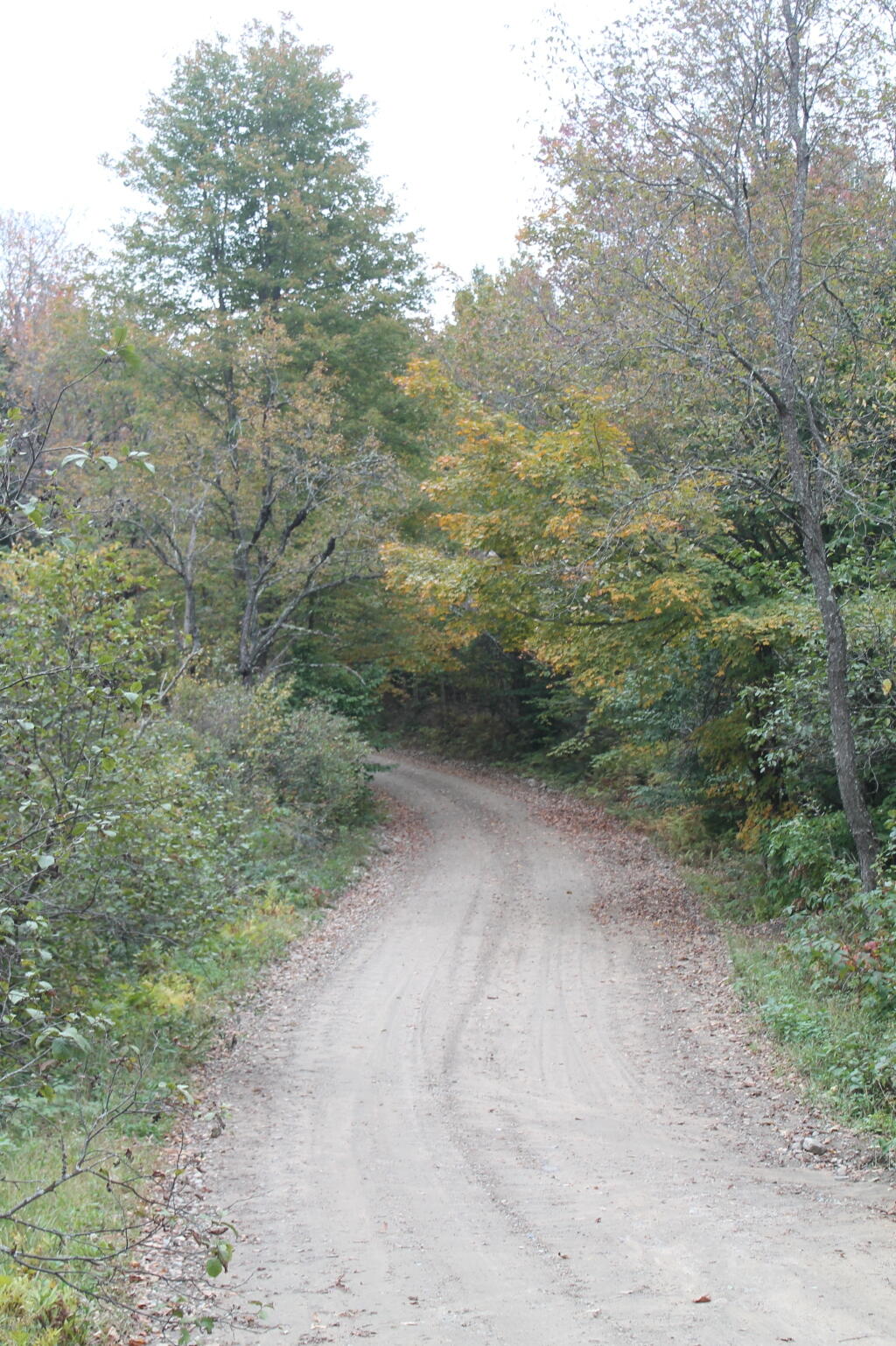 Photo: West River Road Photo: West River Road