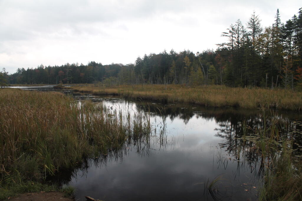 Photo: Mason Lake