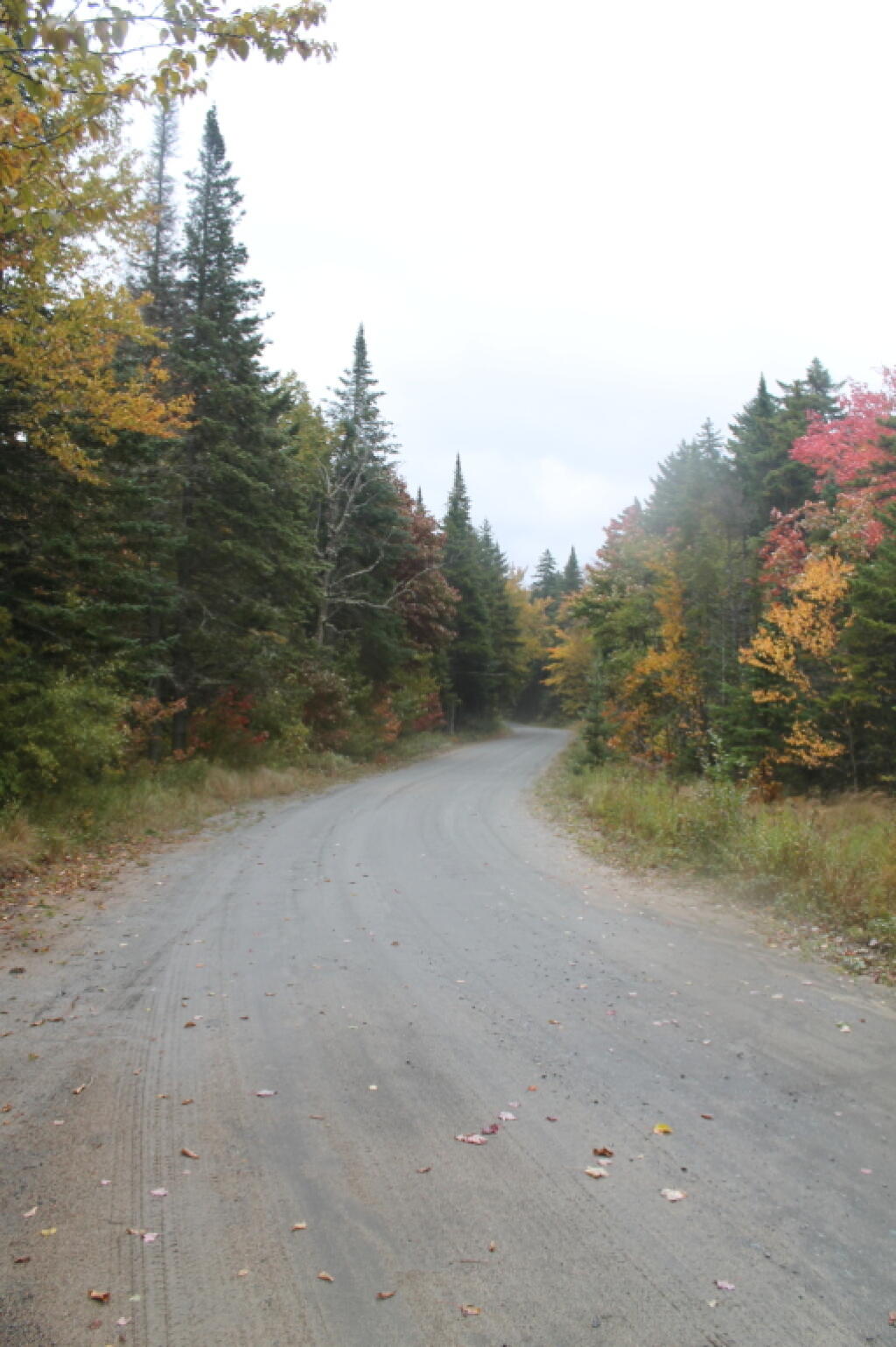 Photo: Winding Through Sturge Hills Photo: Winding Through Sturge Hills