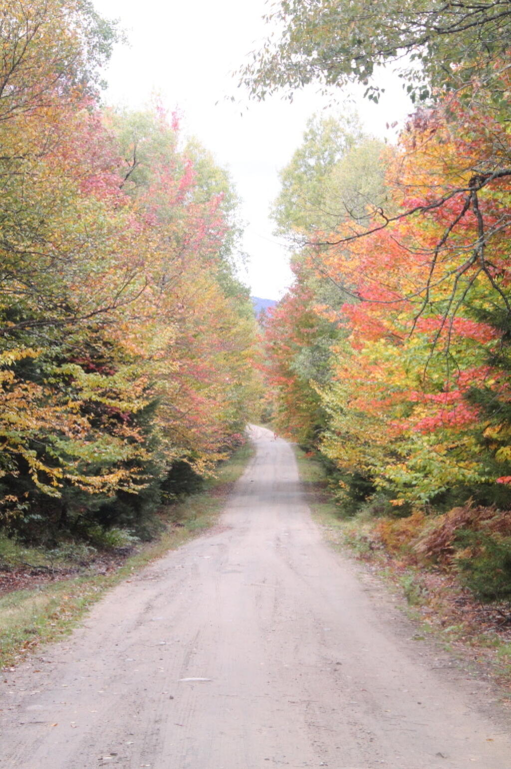 Photo: Heading Down to the Plains