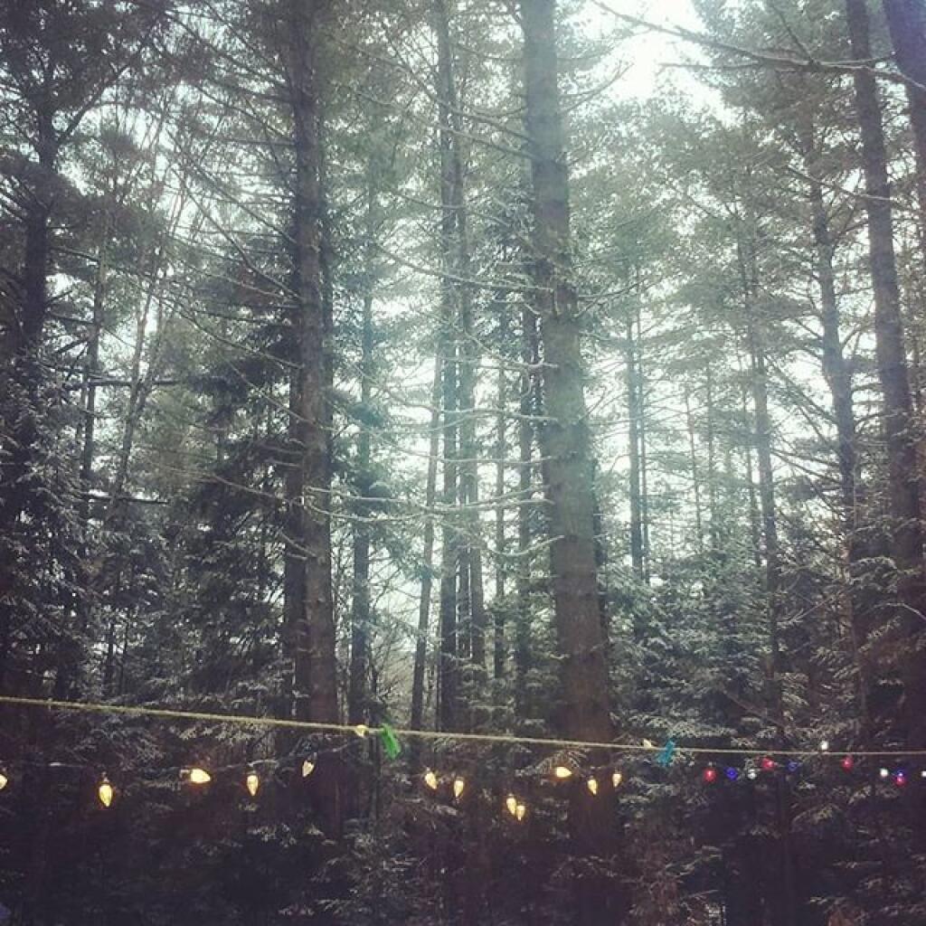 Photo: Morning
