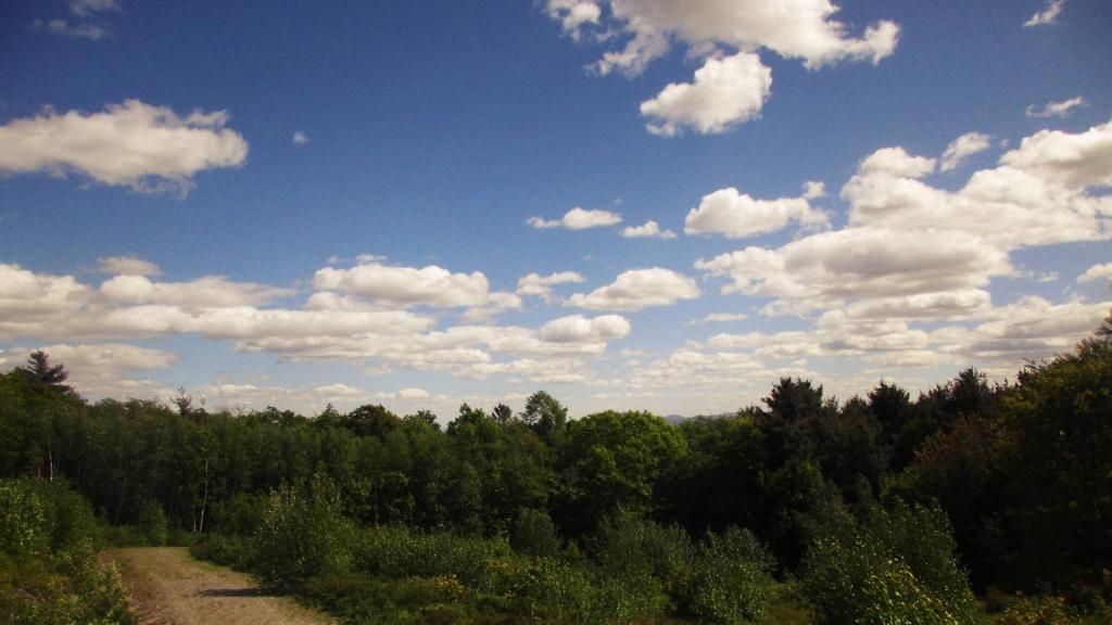 Photo: Beautiful Spring Day