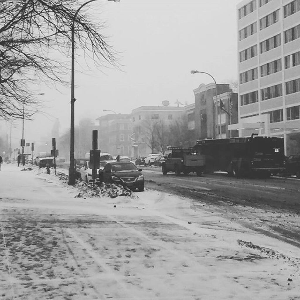 Photo: Winter Photo: Winter