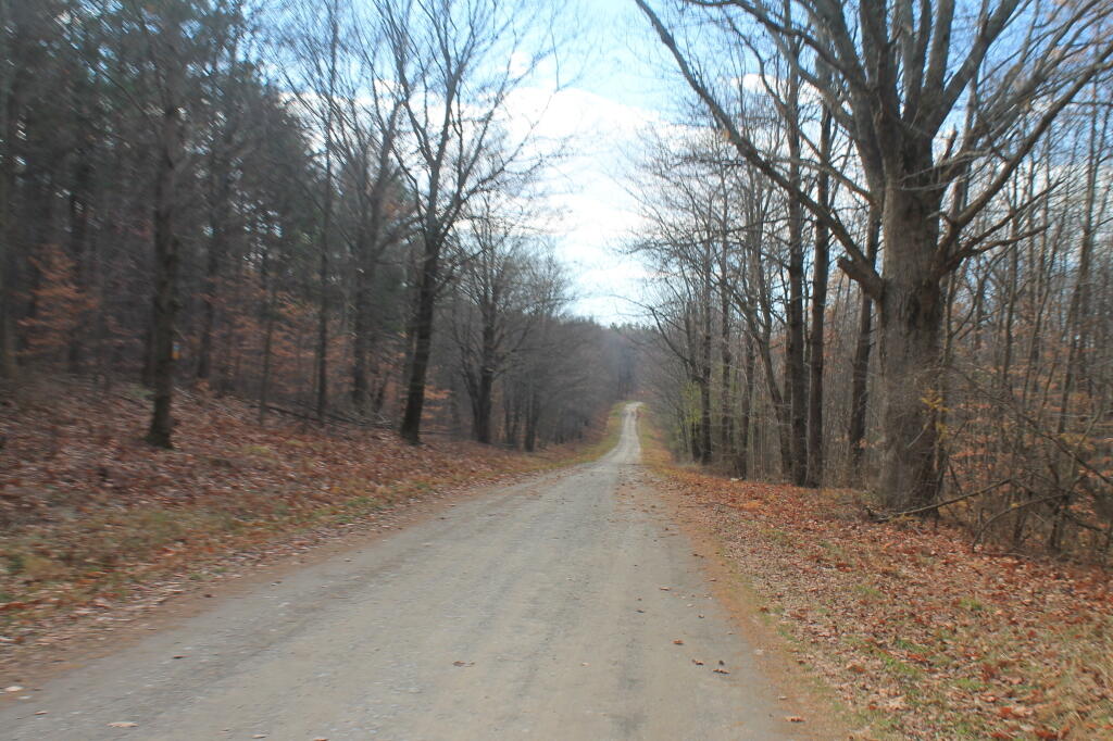 Photo: Maple Lane South Photo: Maple Lane South