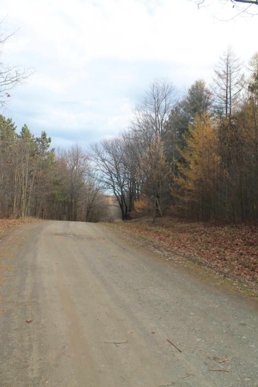 Photo: One Hill Over on Maple Lane Photo: One Hill Over on Maple Lane
