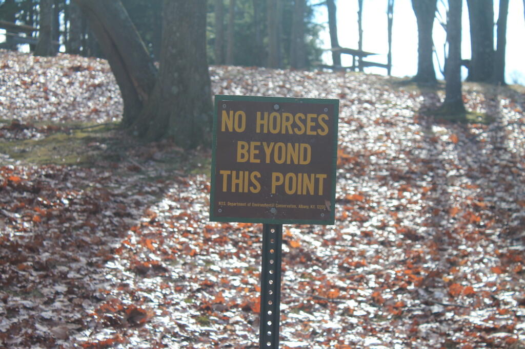 Photo: No Horses in MIddle Ground Photo: No Horses in MIddle Ground