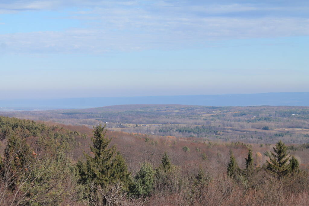 Photo: Reading Hill Photo: Reading Hill