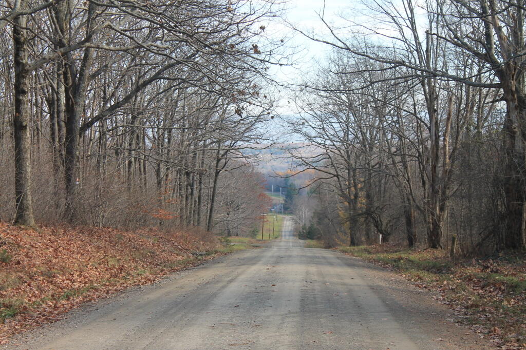 Photo: Tower Road Photo: Tower Road
