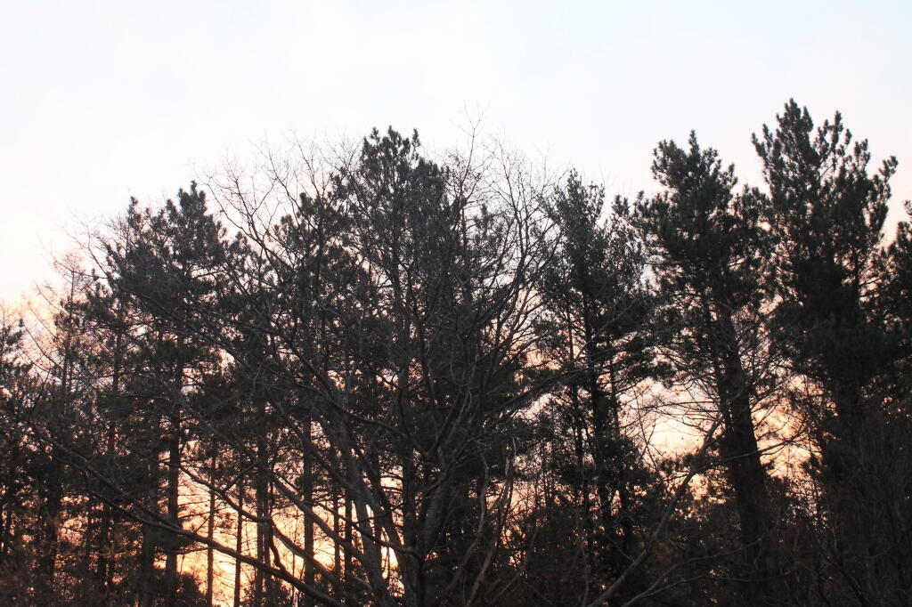 Photo: Red Sky in Morning Photo: Red Sky in Morning