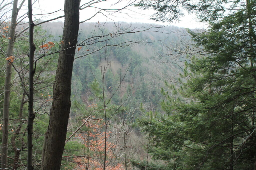 Photo: Small View Into the Gorge Photo: Small View Into the Gorge