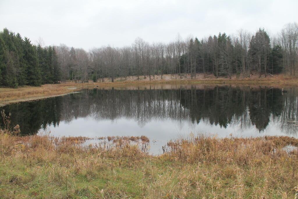 Photo: Third Pond Photo: Third Pond