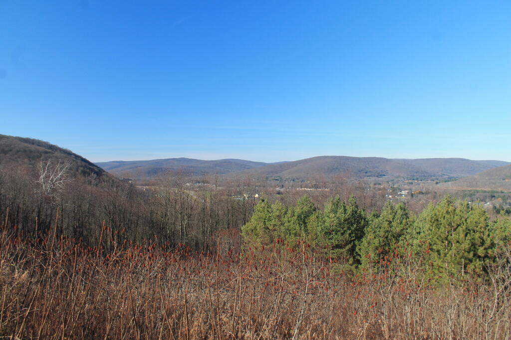 Photo: Salamanca from Parkway Drive