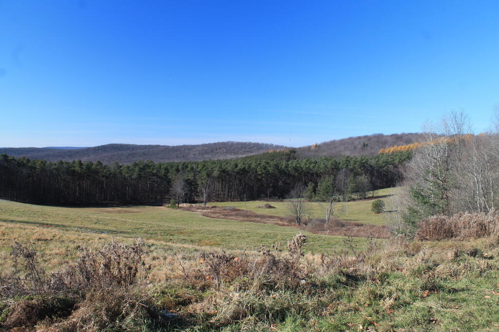 Photo: View Near Summit Trail Camp