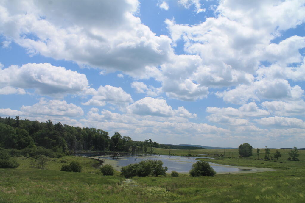 Photo: Farm Pond Along Hunts Pond Road