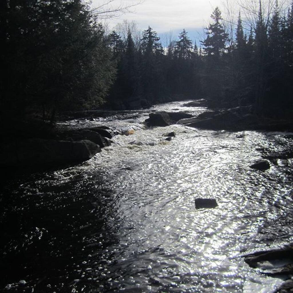 Photo: Deer River off of Webster Mill Road
