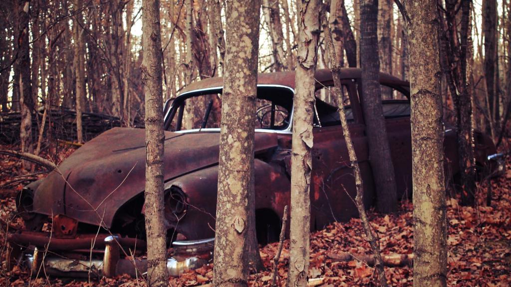 Photo: Old Car in the Woods Photo: Old Car in the Woods