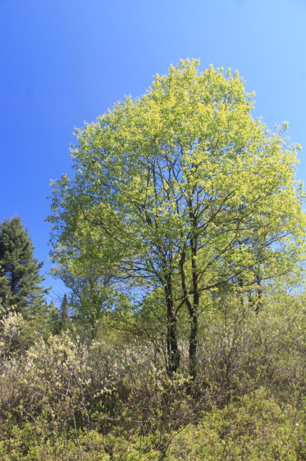 Photo: Blue Skies