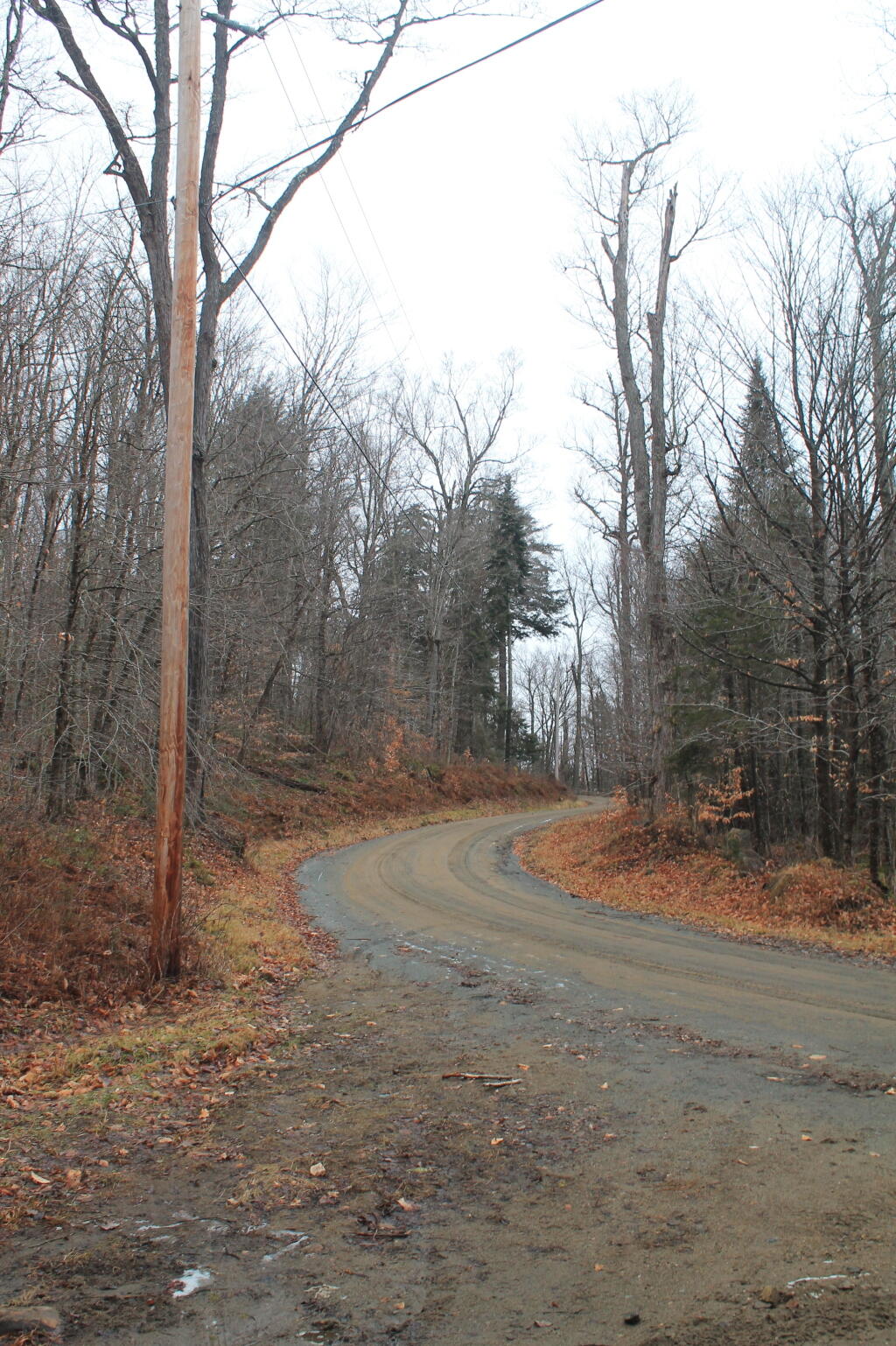 Photo: Northwood Club Road
