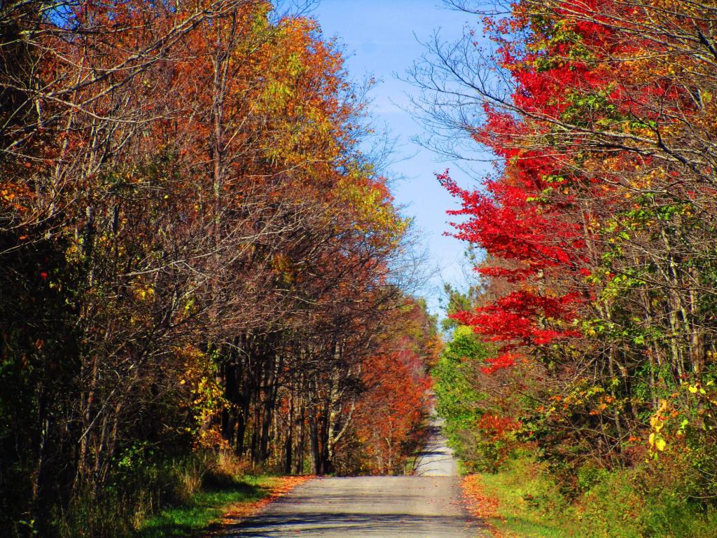 Photo: Bradt Hollow Road Photo: Bradt Hollow Road