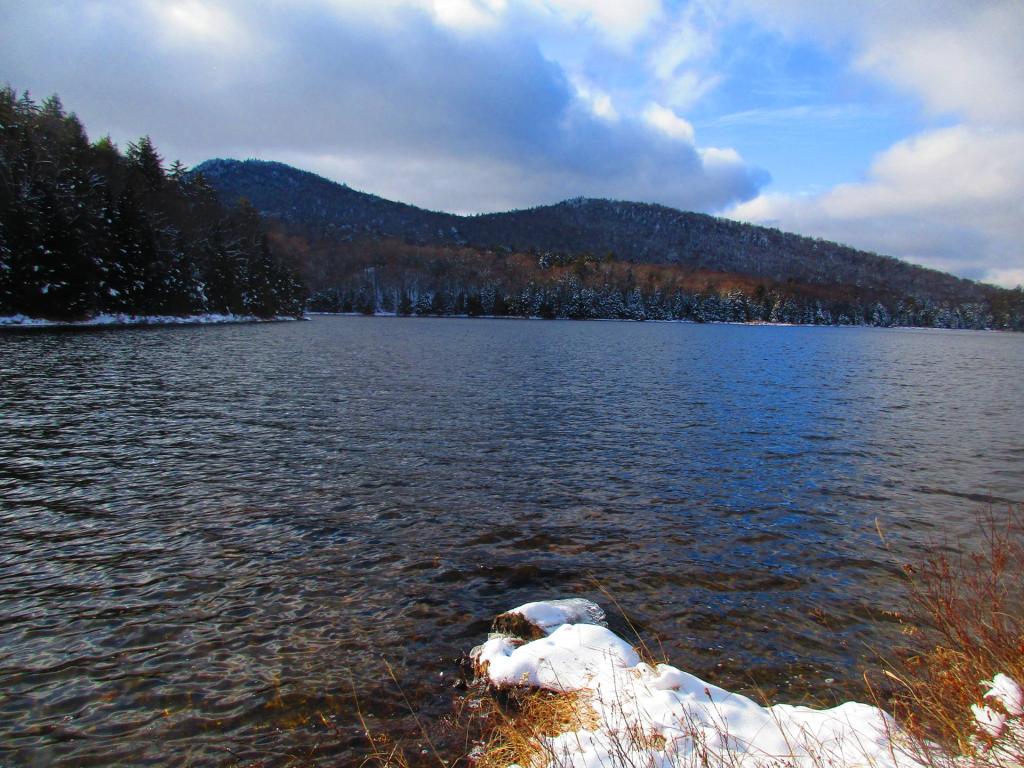 Photo: Siamese Ponds Photo: Siamese Ponds