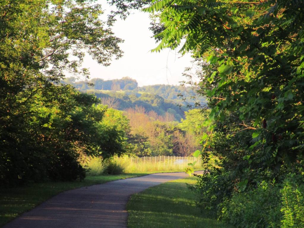 Photo: Above the Thruway