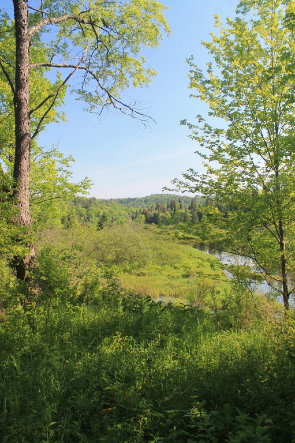 Photo: Springtime at East Canada Creek