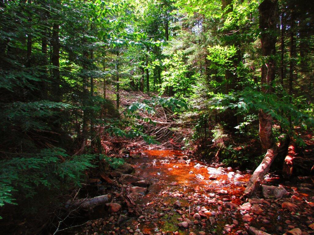 Photo: Creek Crossing