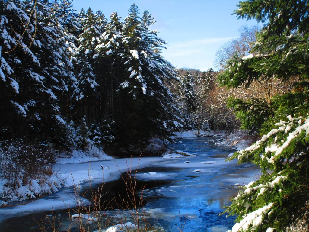 Photo: East Branch Sacandaga River Near the Burnt Shanty Clearing Photo: East Branch Sacandaga River Near the Burnt Shanty Clearing