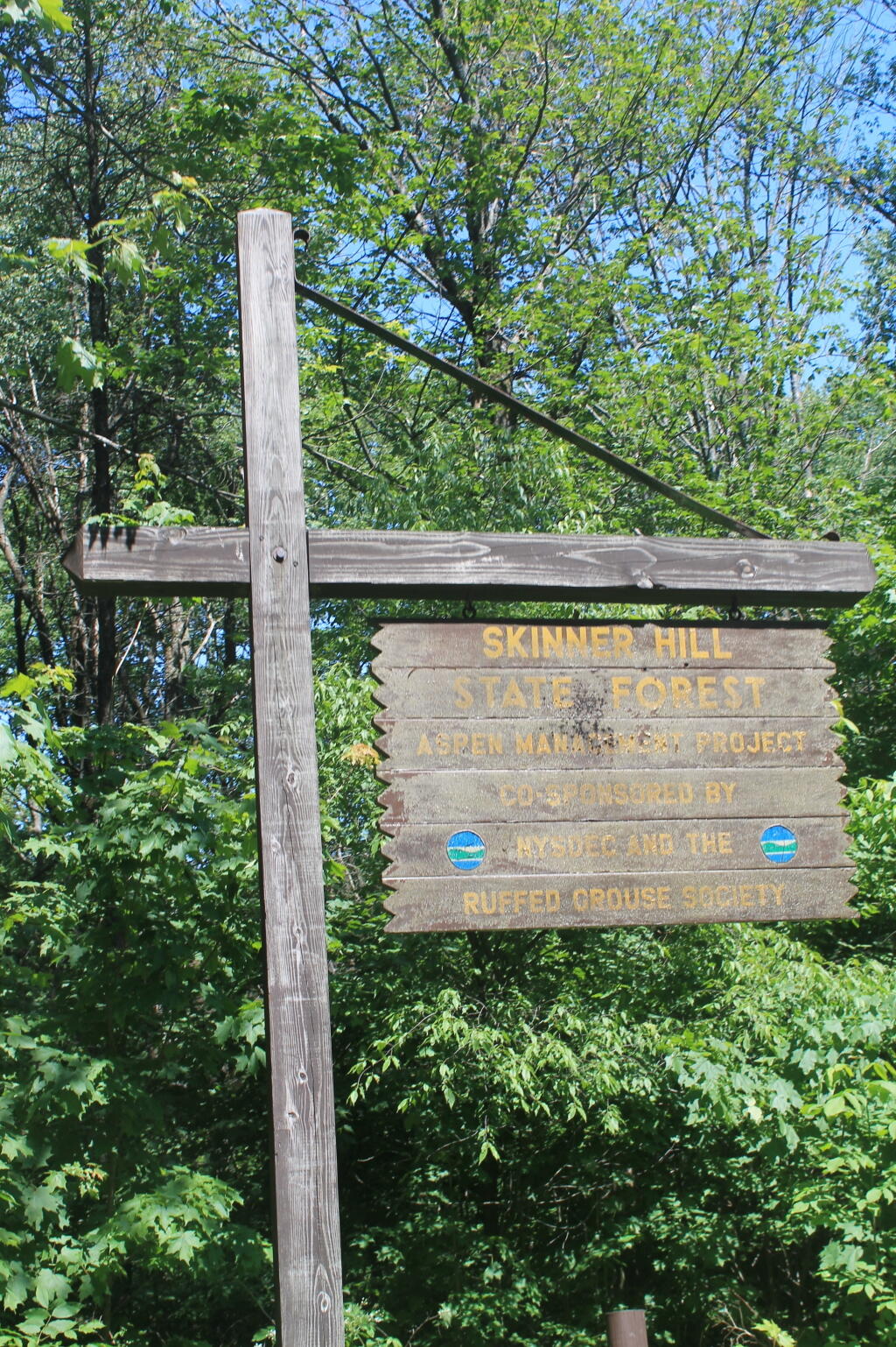 Photo: Skinner Hill State Forest Sign Photo: Skinner Hill State Forest Sign