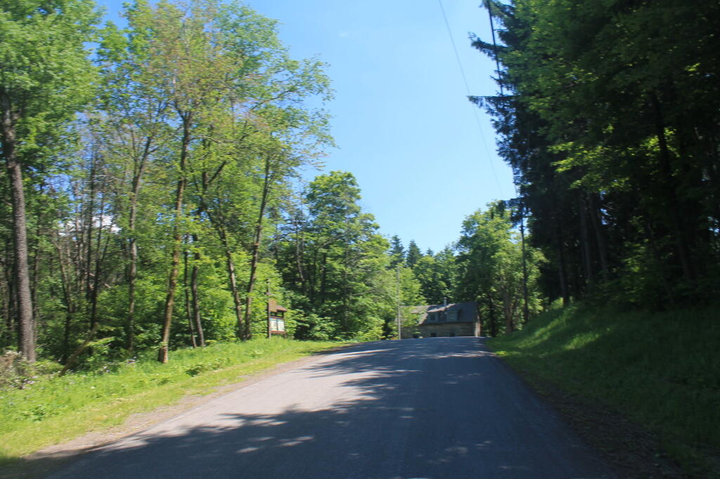 Photo: Near the Skinner Hollow State Forest Kiosk Photo: Near the Skinner Hollow State Forest Kiosk