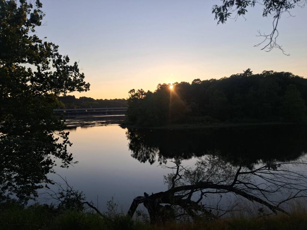 Photo: Untitled Photo: Untitled
