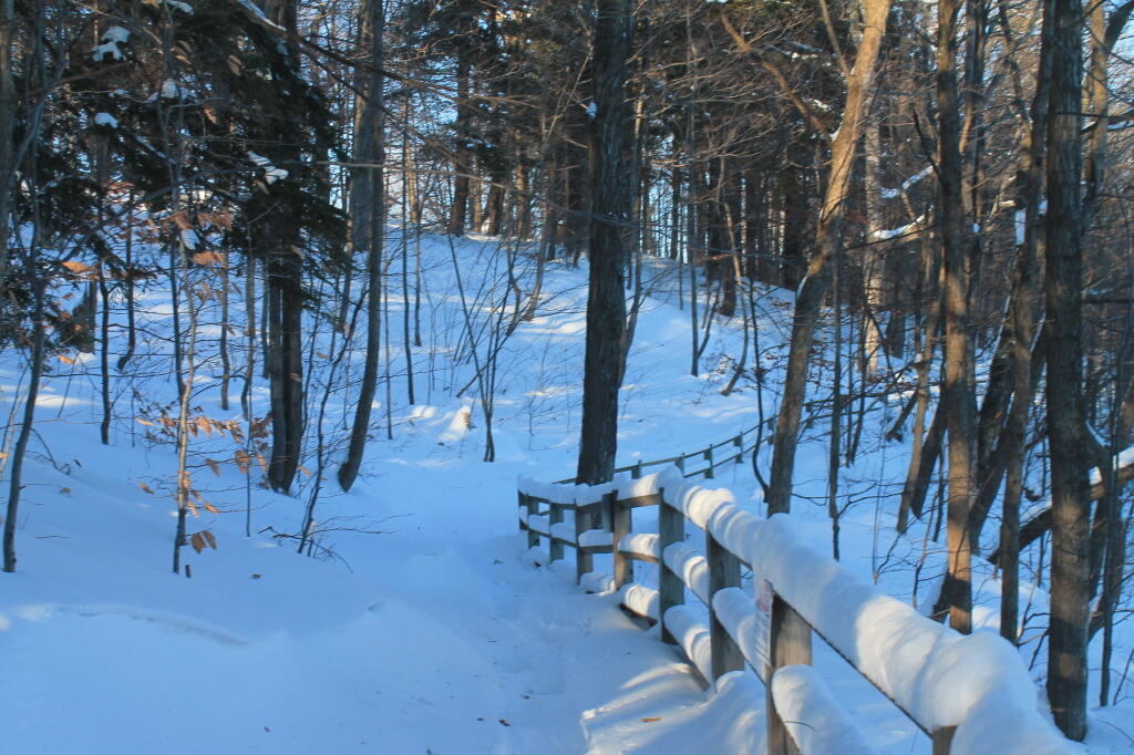 Photo: Escarpment Fence Photo: Escarpment Fence