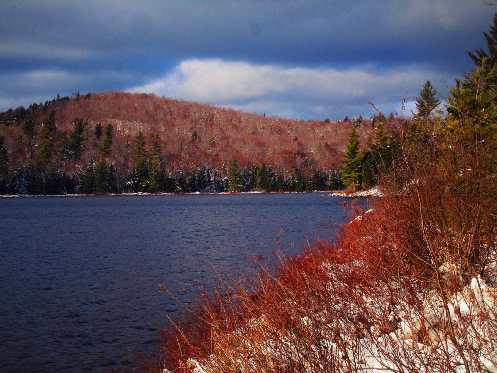 Photo: Clouds Hang Over Siamese Ponds Photo: Clouds Hang Over Siamese Ponds