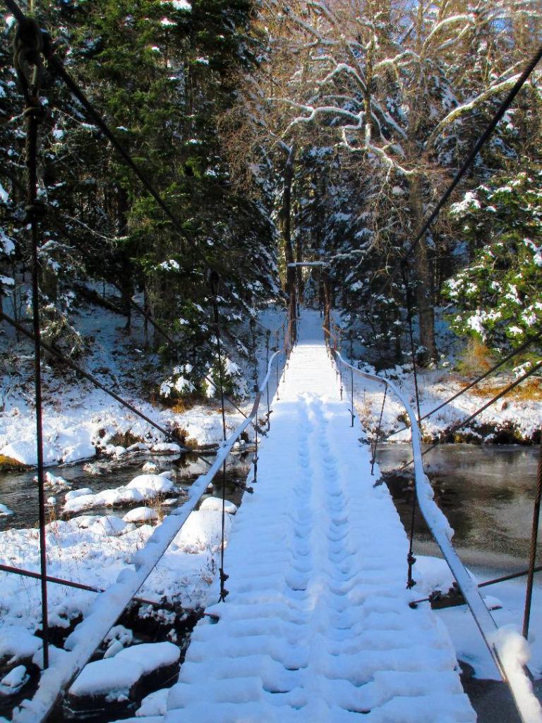 Photo: Look at those bent railings on the Burnt Shanty bridge ... Photo: Look at those bent railings on the Burnt Shanty bridge ...
