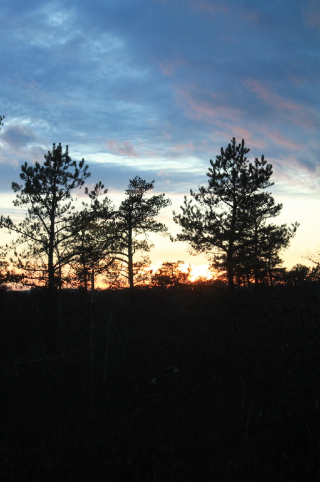 Photo: Untitled