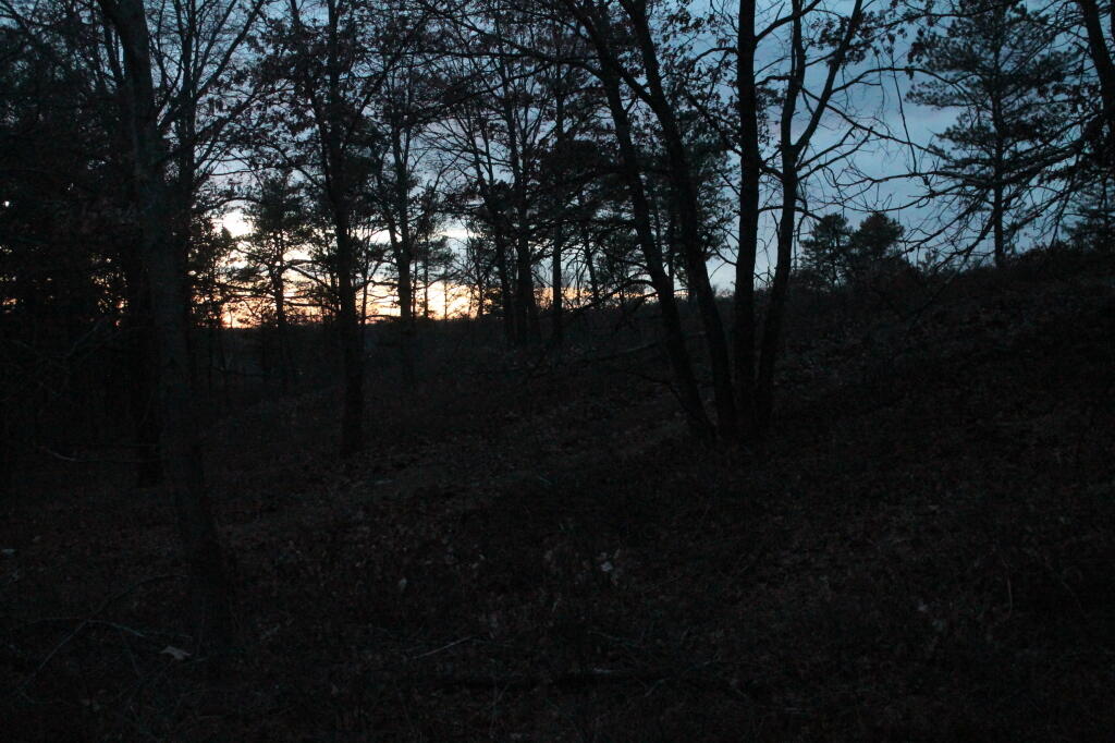 Photo: Untitled