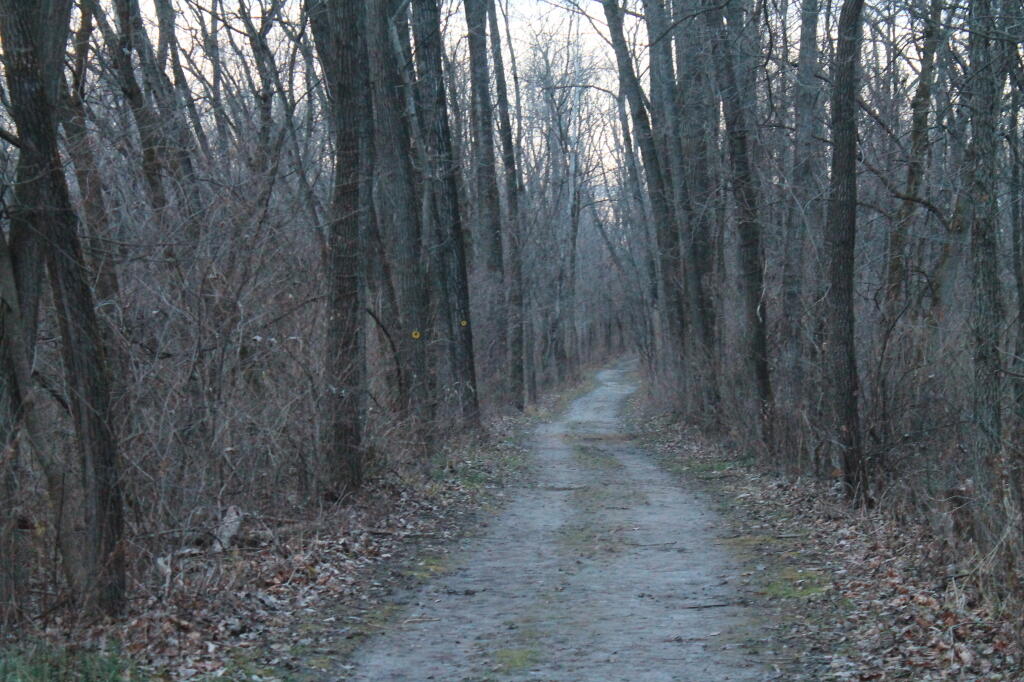 Photo: Yellow Trail