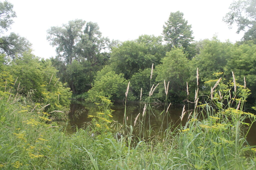 Photo: South Sandy Creek Photo: South Sandy Creek