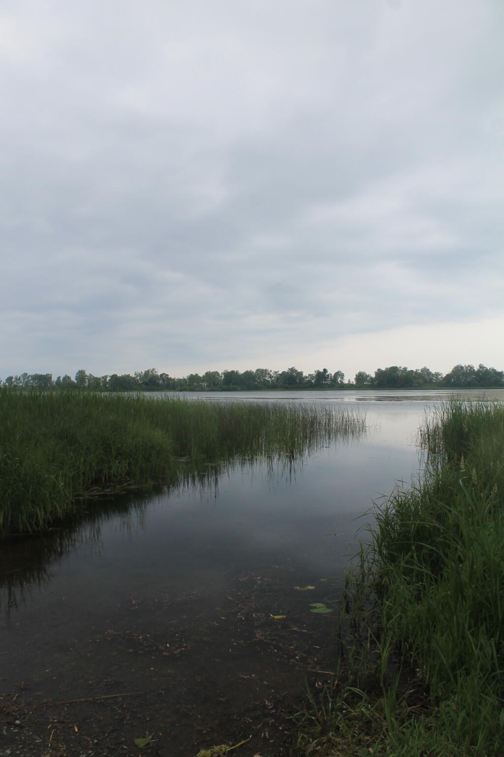 Photo: South Colwell Pond