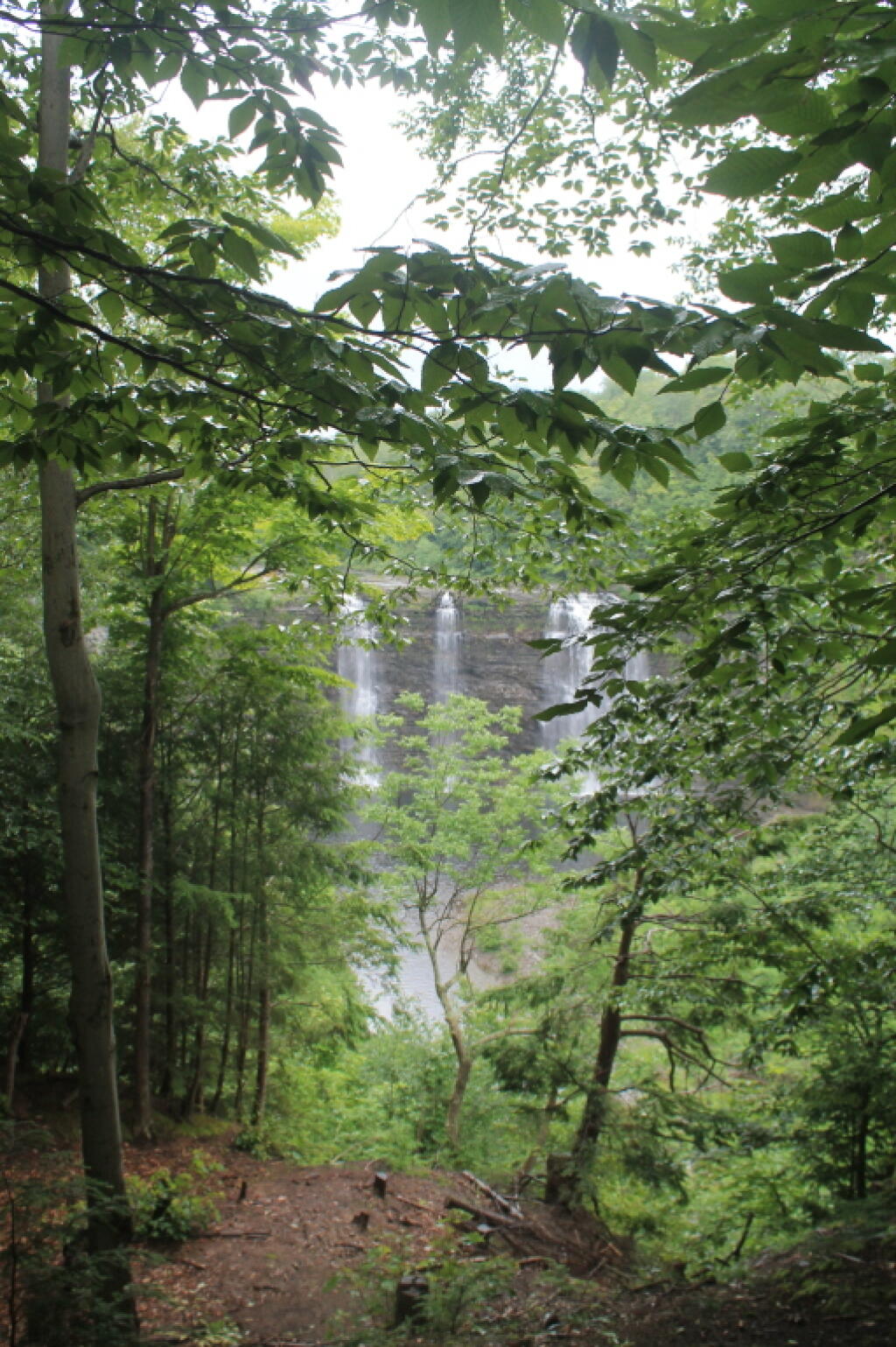 Photo: First Few of Falls