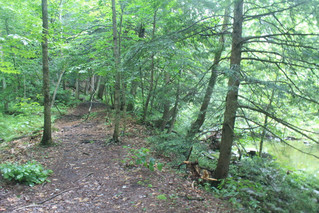 Photo: Salmon River Trail