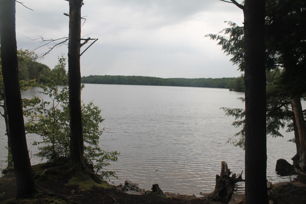 Photo: Salmon River Reservior from a Hall Island Campsite
