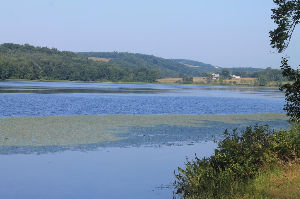 Photo: Long Pond