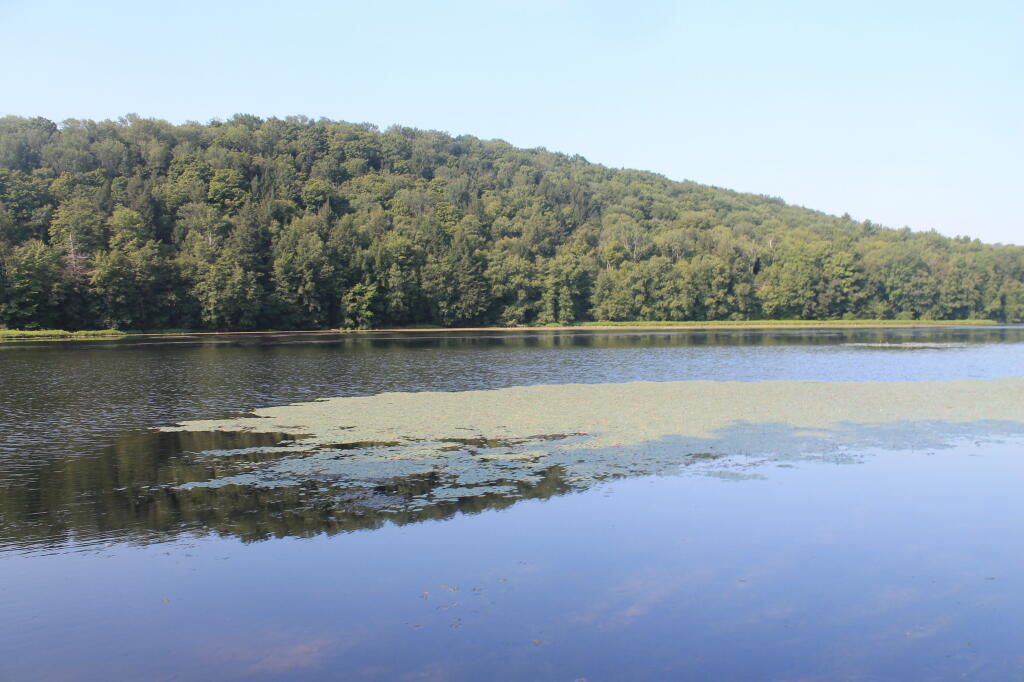 Photo: Long Pond Photo: Long Pond
