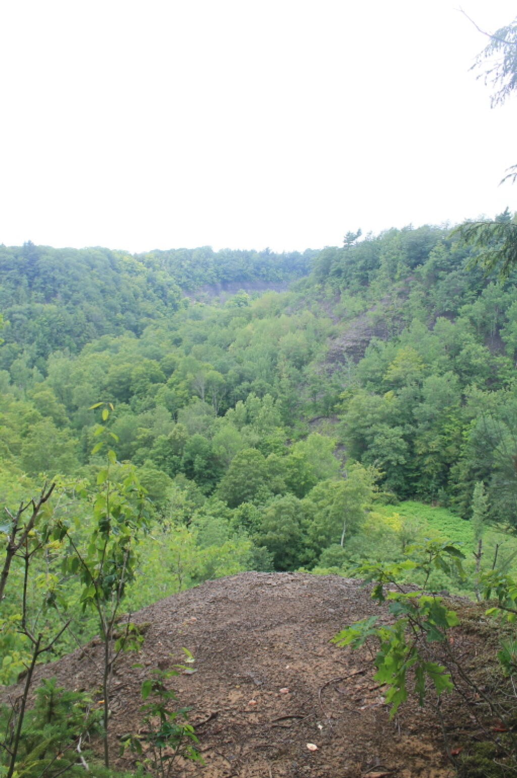 Photo: Photo.2013.07.02 13.49.53