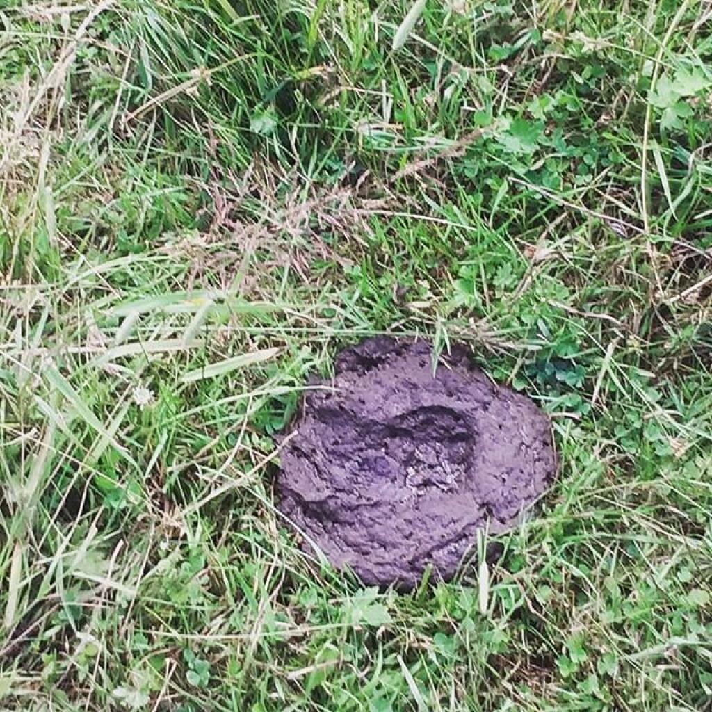 Photo: Hiking can be dangerous Photo: Hiking can be dangerous
